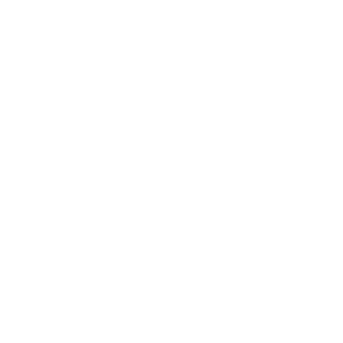 Viva Sorrindo logo rodapé